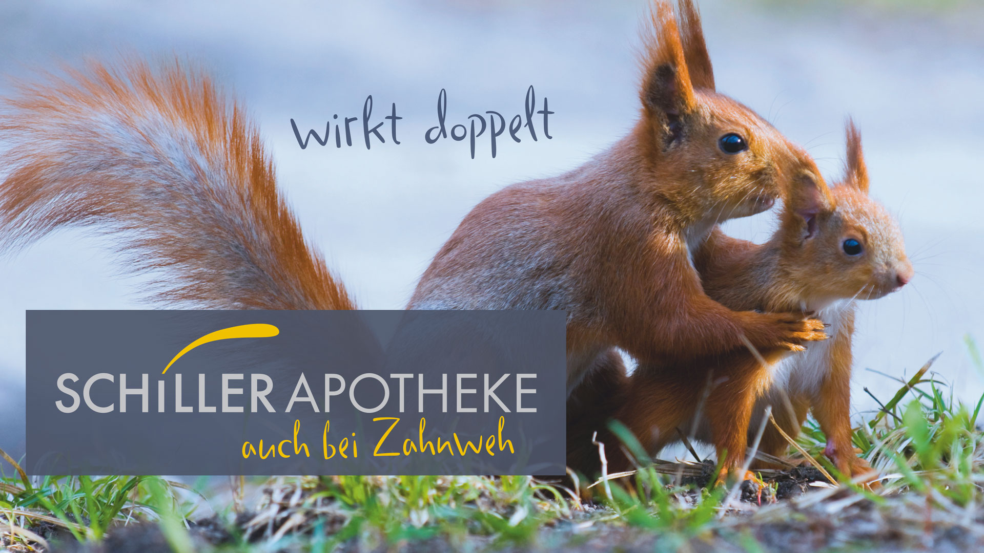 Zwei Eichhörnchen mit dem Spruch Schiller Apotheke wirkt doppelt auch bei Zahnweh