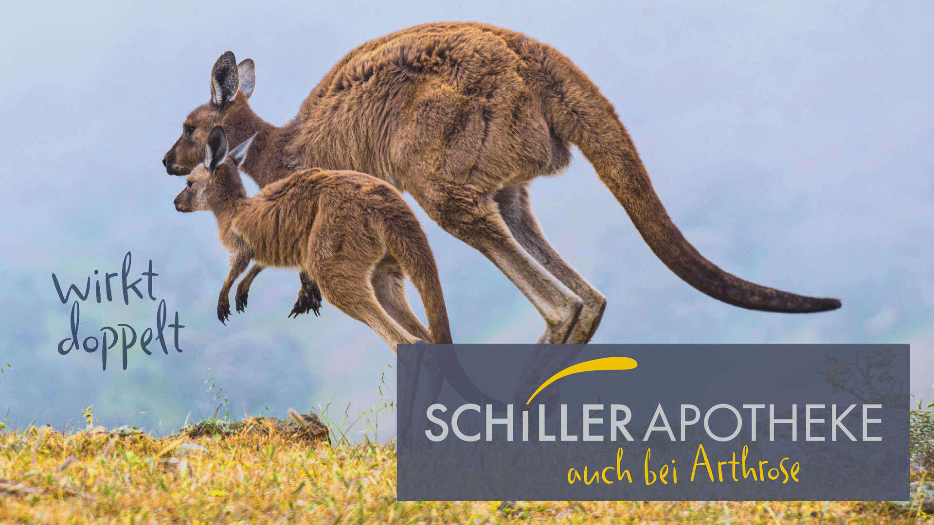 Zwei Kängeruhs hüpfen über das Land mit dem Logo Schiller Apotheke wirkt doppelt auch bei Arthrose